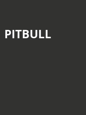 Pitbull, Ruoff Music Center, Indianapolis