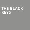 The Black Keys, Gainbridge Fieldhouse, Indianapolis