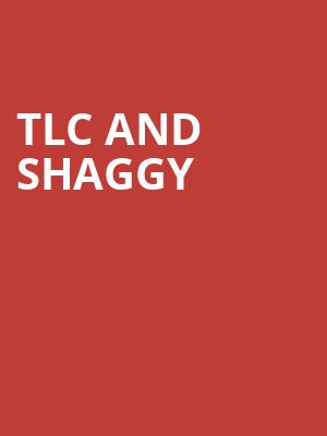 TLC and Shaggy, Ruoff Music Center, Indianapolis