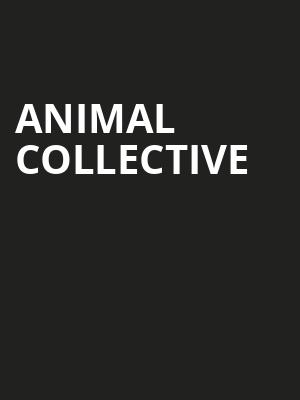 Animal Collective, The Hi Fi, Indianapolis