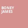 Boney James, The Palladium, Indianapolis