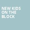 New Kids On The Block, Ruoff Music Center, Indianapolis