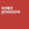 Hobo Johnson, The Hi Fi, Indianapolis
