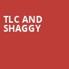 TLC and Shaggy, Ruoff Music Center, Indianapolis